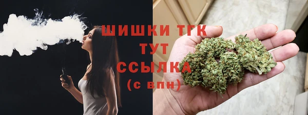 молекула духа Алексеевка