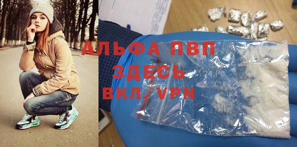 молекула духа Алексеевка