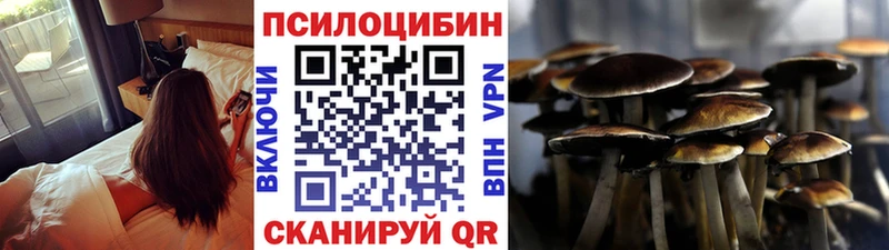 Псилоцибиновые грибы GOLDEN TEACHER Омутнинск
